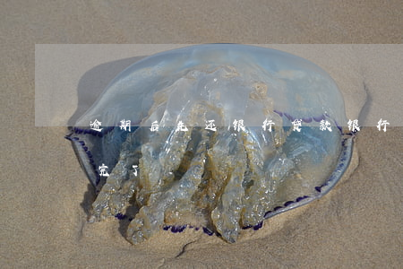 逾期后先还银行贷款(银行贷款有过逾期但还完了)