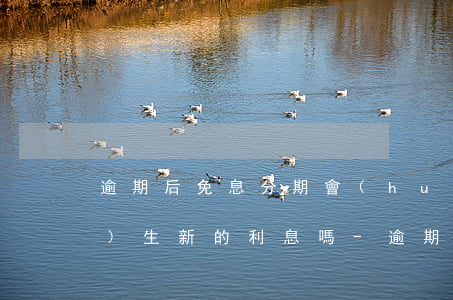 逾期后免息分期會(huì)產(chǎn)生新的利息嗎-逾期后免息分期會(huì)產(chǎn)生新的利息嗎