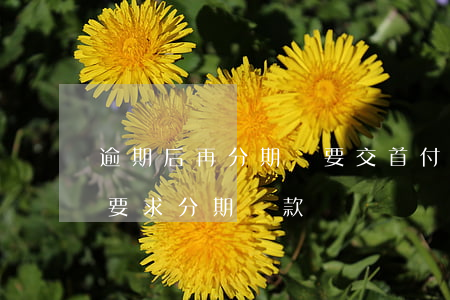 逾期后再分期還要交首付一成款嗎-逾期后要求分期還款