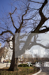逾期后再微信上不能還款嗎(逾期后再微信上不能還款嗎怎么辦)