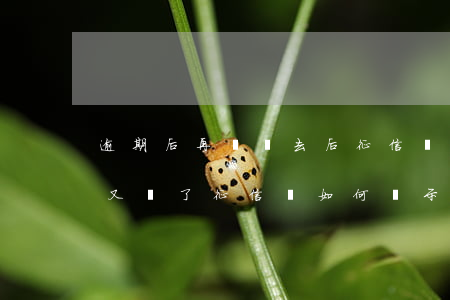 逾期后再還進去后征信還會顯示嗎 貸款逾期又還了征信會如何顯示
