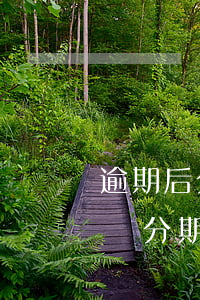 逾期后分期后還是還不上怎么辦-逾期后申請分期還款后果嚴重