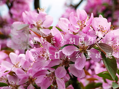 逾期后分期為什么要提供征信報告-逾期后分期為什么要提供征信報告呢
