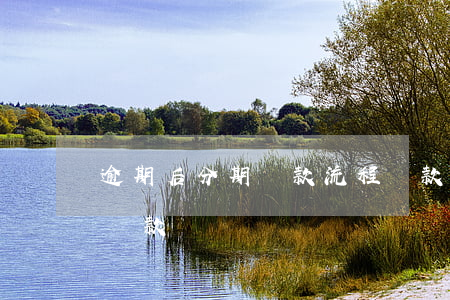逾期后分期還款流程(貸款逾期如何申請分期還款)