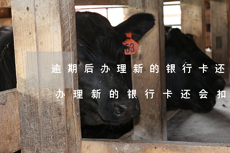 逾期后办理新的银行卡还会扣款吗-逾期后办理新的银行卡还会扣款吗怎么办