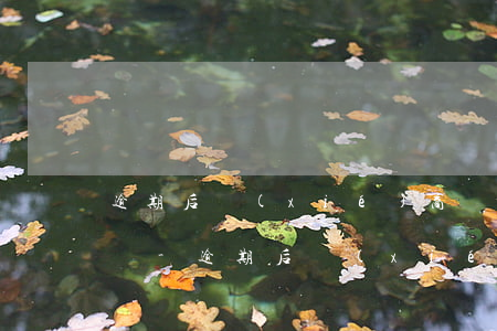 逾期后協(xié)商還款后征信有沒有影響-逾期后協(xié)商還款后征信有沒有影響呢