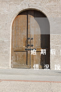 逾期后協(xié)商還款的文本(逾期還款情況說明和還款承諾)