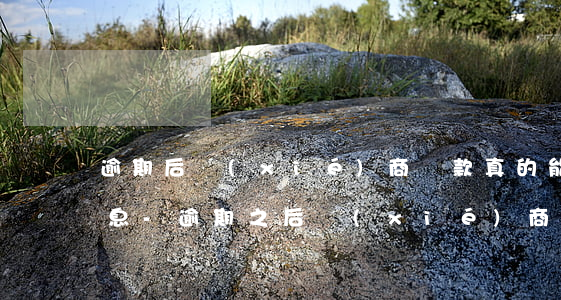 逾期后協(xié)商還款真的能不用還利息-逾期之后協(xié)商還款