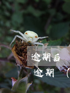 逾期后協(xié)商還款,還算逾期嗎（金融逾期協(xié)商還款嗎）