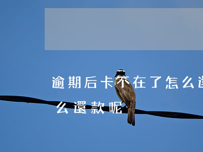 逾期后卡不在了怎么還款(逾期后卡不在了怎么還款呢)
