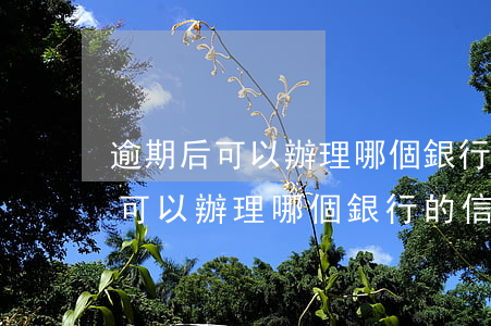 逾期后可以辦理哪個銀行的信用卡-逾期后可以辦理哪個銀行的信用卡呢