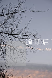 逾期后可貸款的app(貸款可以逾期嗎)