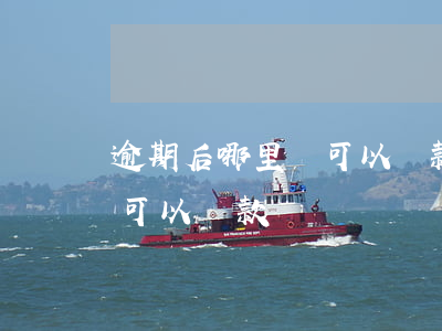 逾期后哪里還可以貸款(貸款逾期還了以后還可以貸款嗎)