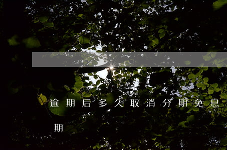 逾期后多久取消分期免息（逾期后多久取消分期）