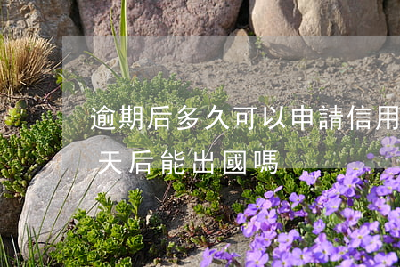 逾期后多久可以申請信用卡（信用卡逾期90天后能出國嗎）