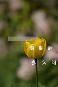 逾期后多久可以買(mǎi)房貸款(逾期后多久可以買(mǎi)房貸款)