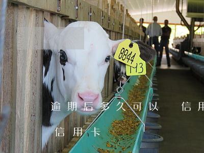 逾期后多久可以辦信用卡(逾期后多久可以辦信用卡)
