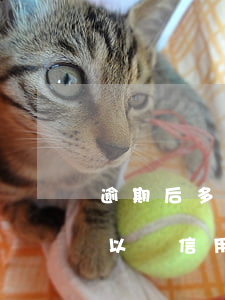 逾期后多久才能申請信用卡 逾期多久以后可以辦信用卡