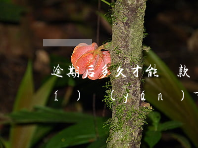 逾期后多久才能貸款(貸款逾期幾小時(shí)嚴(yán)重嗎)