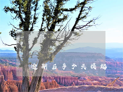 逾期后多少天提起訴訟