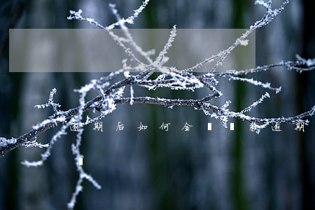 逾期后如何全額還款(逾期后如何全額還款合適)