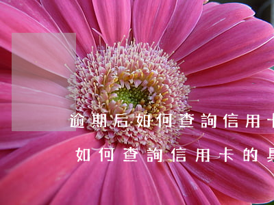 逾期后如何查詢信用卡的具體本金-逾期后如何查詢信用卡的具體本金和利息