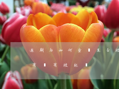 逾期后如何查詢是否被起訴(貸款逾期怎么查有沒有被起訴)