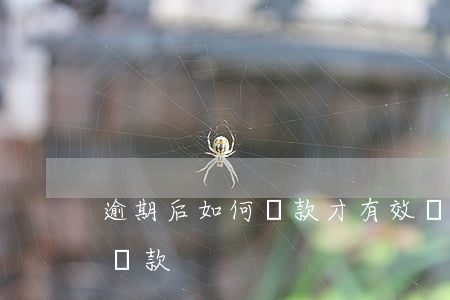 逾期后如何還款才有效(貸款逾期后如何正確還款)