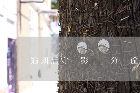 逾期后守約影響漲分嗎(逾期待守約)