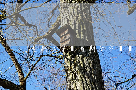 逾期后守約 逾期后守約會不會影響以后貸款