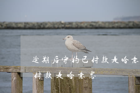 逾期后守约已付款是啥意思啊（逾期后守约已付款是啥意思）