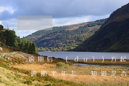 逾期后對(duì)方起訴你多久可以知道(逾期半年怎樣知道是否被起訴)