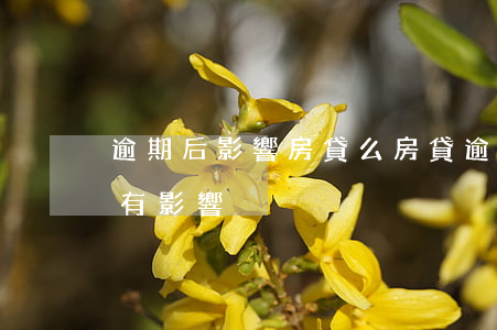 逾期后影響房貸么(房貸逾期有沒(méi)有影響)