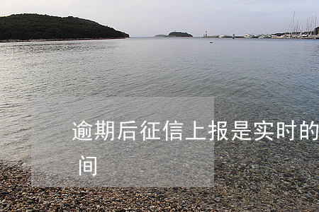 逾期后征信上报是实时的吗(征信逾期上报时间)