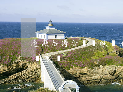 逾期后得全額還款嗎(逾期后全額還款會降低額度嗎)