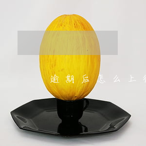 逾期后怎么上征信的(逾期上征信怎么申訴)