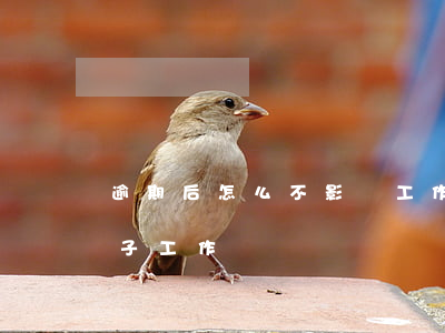 逾期后怎么不影響工作-長期逾期會影響孩子工作嗎