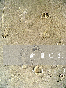 逾期后怎么協(xié)商(逾期后怎么協(xié)商分期還款)