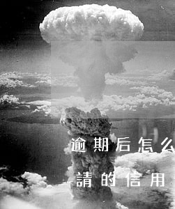 逾期后怎么可以申請信用卡-有逾期也能申請的信用卡