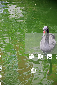 逾期后怎么才能不產(chǎn)生透支利息-