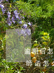 逾期后怎么找律師申請(逾期發(fā)了律師函怎么處理)