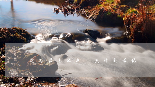 逾期后怎么把損失降到最低