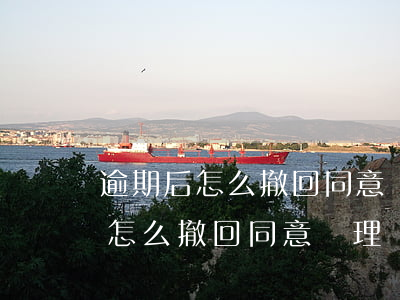 逾期后怎么撤回同意處理個人信息-逾期后怎么撤回同意處理個人信息呢