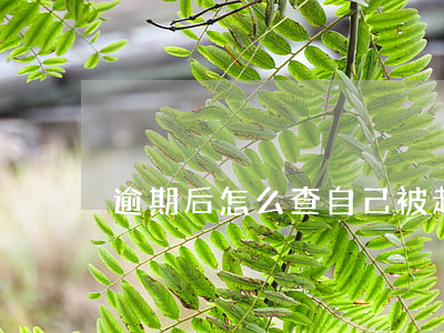 逾期后怎么查自己被起訴(逾期起訴怎么查詢)