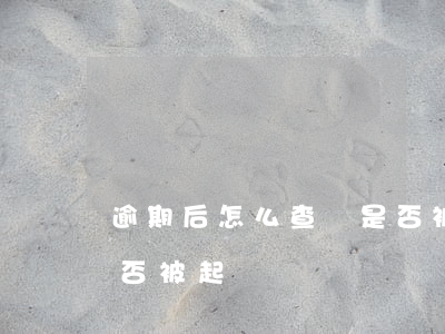 逾期后怎么查詢是否被起訴(逾期如何查詢是否被起訴)