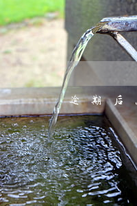 逾期后怎么查詢被起訴(逾期案件怎么查)