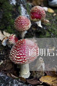逾期后怎么確定沒有被起訴(逾期多久不能起訴)