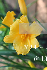 逾期后怎么跟銀行協(xié)商不上征信-逾期后怎么跟銀行協(xié)商不上征信呢