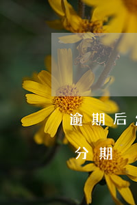 逾期后怎么辦信用卡分期-逾期后怎么辦理分期