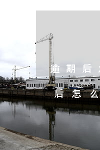 逾期后怎么還款安全(網(wǎng)貸逾期后怎么還款安全)